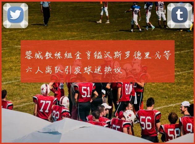蓉城教练组金亨镒汉斯罗德里戈等六人离队引发球迷热议