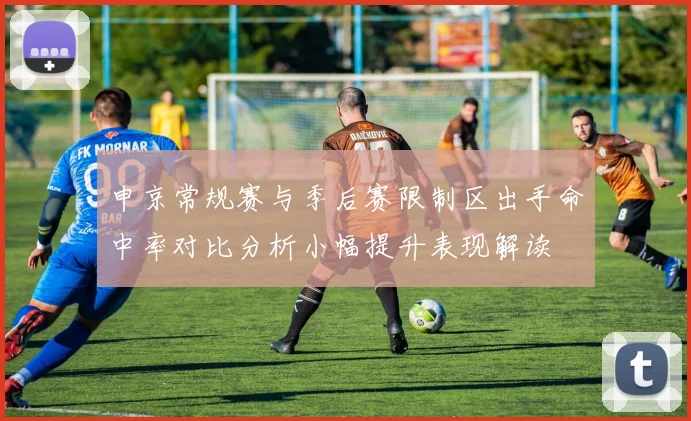 申京常规赛与季后赛限制区出手命中率对比分析小幅提升表现解读