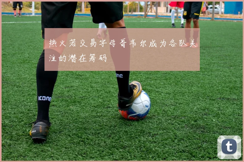 热火若交易字母哥韦尔成为各队关注的潜在筹码