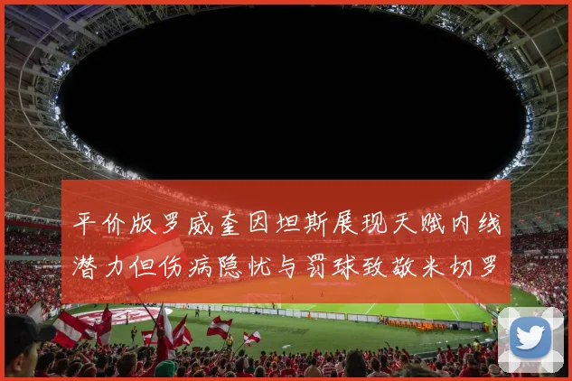 平价版罗威奎因坦斯展现天赋内线潜力但伤病隐忧与罚球致敬米切罗