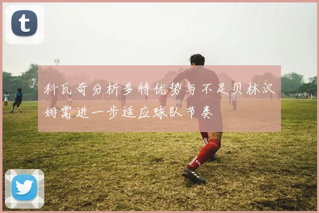 科瓦奇分析多特优势与不足贝林汉姆需进一步适应球队节奏
