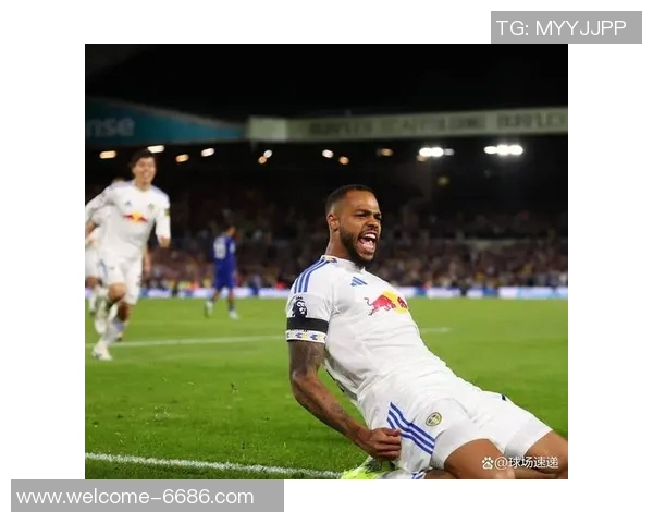 利兹联球迷两度向热刺球员投掷物品或将遭遇高额罚款